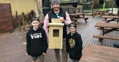 workshops to create wooden possum nest boxes