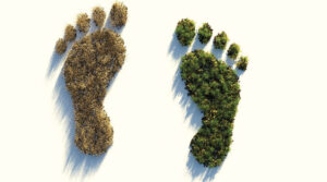 Green Footprint