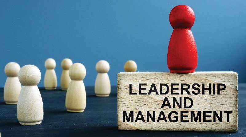 What Is Project Leadership And Management Pdf