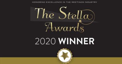 Stella 2020 Winner Badge