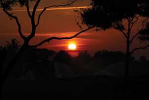 Photo © Joseph Hubbard CGCS/CEMP Boca Delray Golf & Country Club