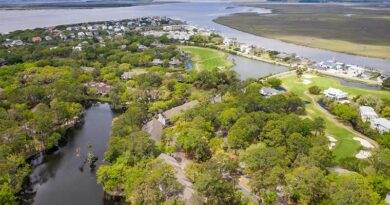 Egrets Pointe Townhouses