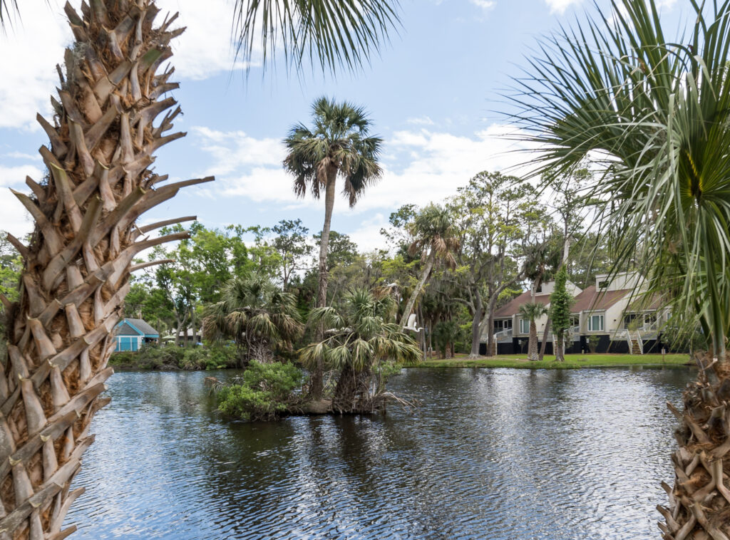 Egrets Pointe Townhouses