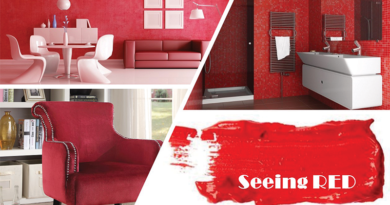 Seeing Red by Margit Whitlock Architectural Concepts