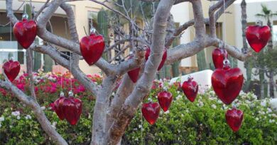 Pueblo Bonito Resorts has raised them to a fine art.