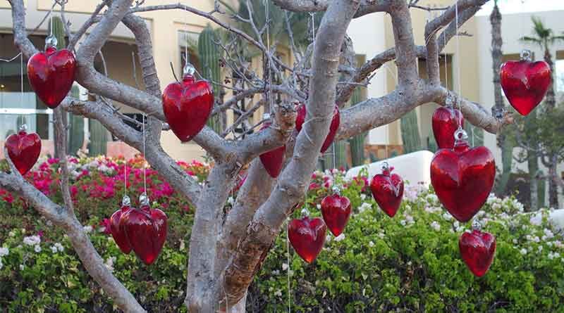 Pueblo Bonito Resorts has raised them to a fine art.