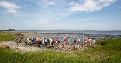 new oyster reef along the 18th fairway of famed Harbour Town Golf Links