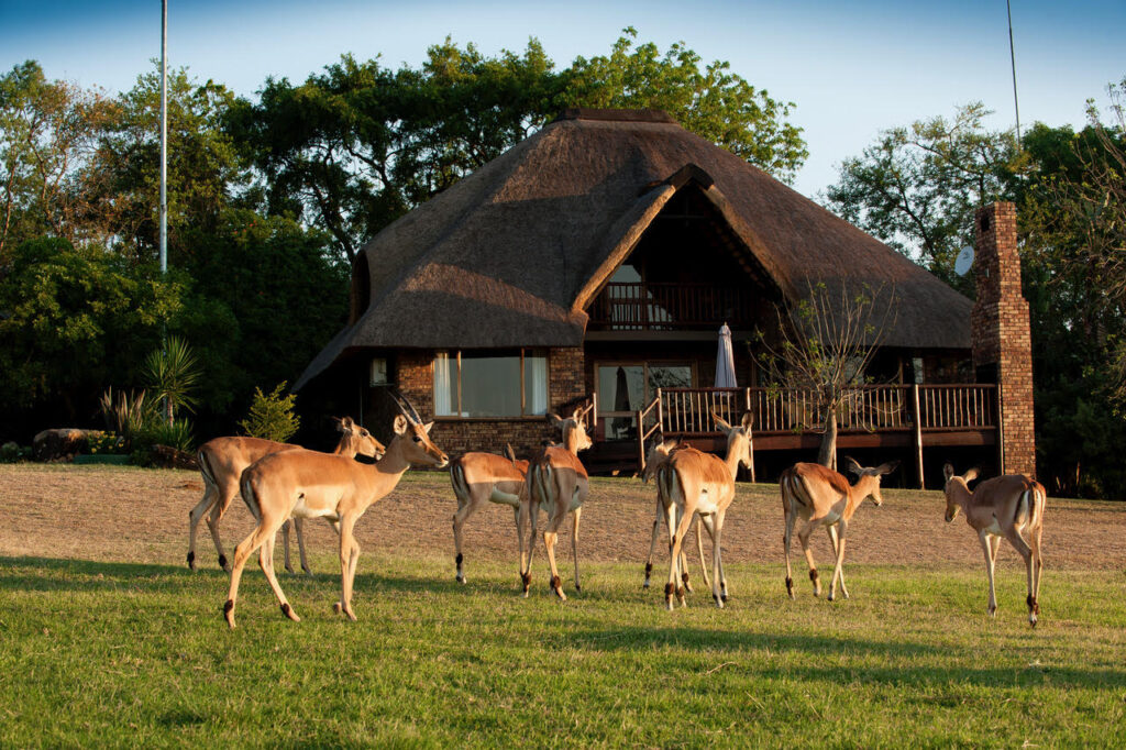 Kruger Park Lodge