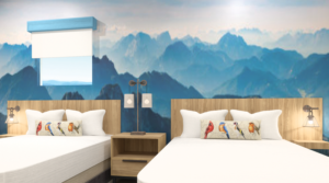 Competing Space Requirements Renovations