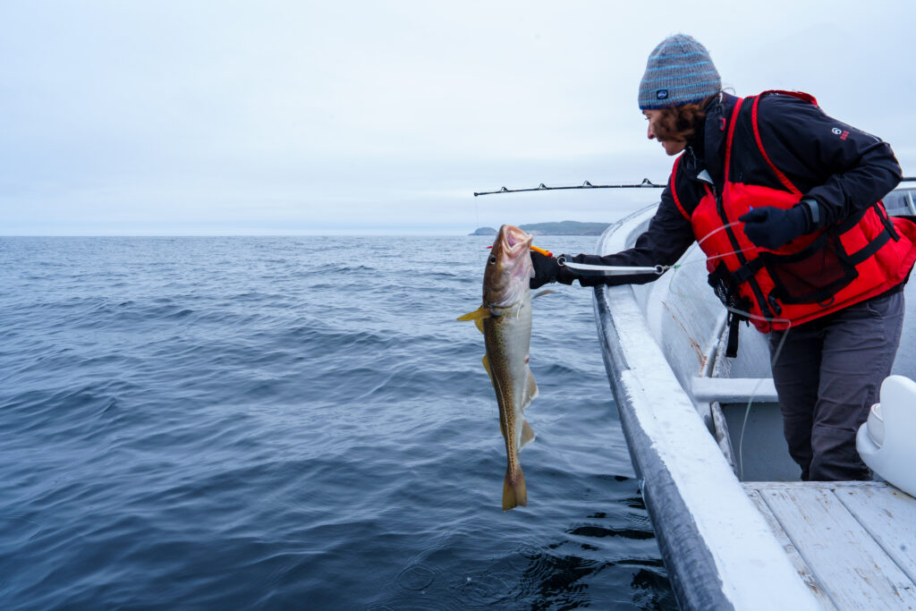 Fogo Island Inn isn’t a Michelin Key Resort where guests stay secluded in luxury. Here the key is earned from wrapping luxury around the local community and crafting one of the world’s top examples of amenities sustainably, ethically and successfully rooted in local culture. 