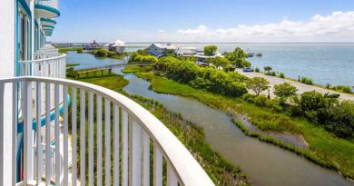 Balcony View Coconut Malorie
